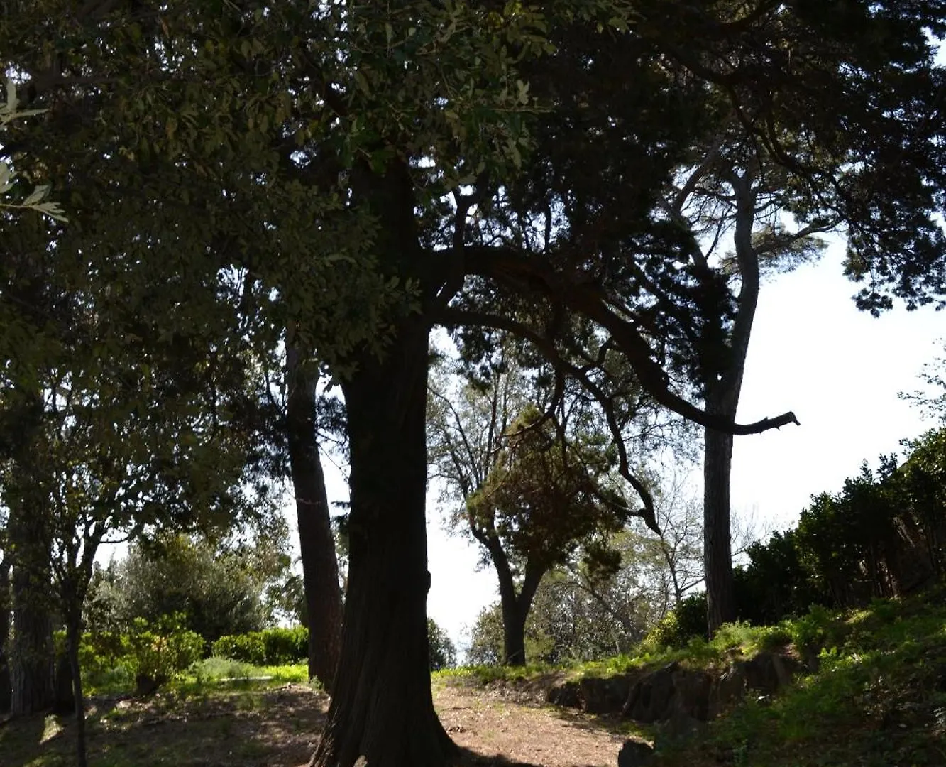 Villa D'Albertis Crevari Apartment